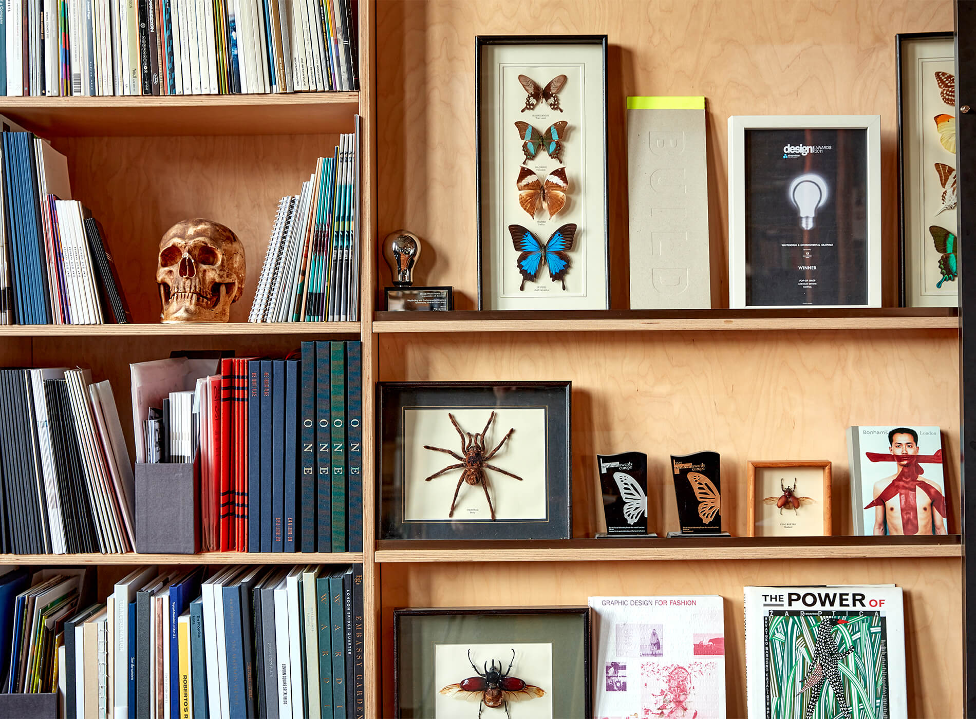 Curated shelves with books, awards, framed insects, artwork, and collected objects in Mammal Studio